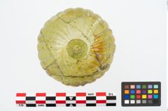 Foto von Glasrippenschale (NHMW-PRAE-025231)